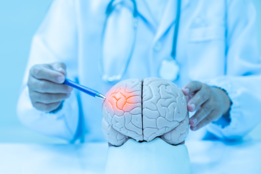 Țesutul creierului uman înghețat poate fi reînviat fără deteriorare